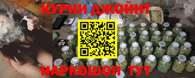 индика Ипатово