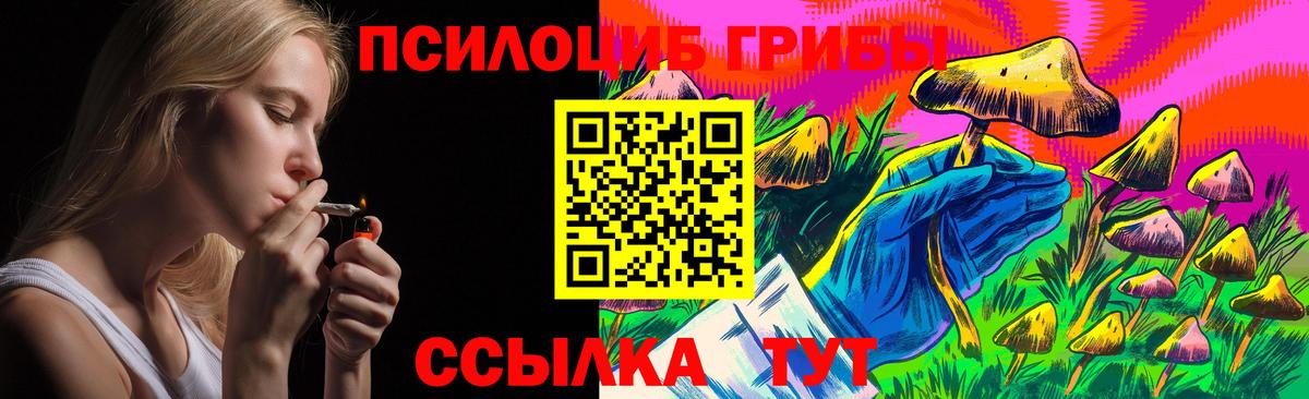 Галлюциногенные грибы MAGIC MUSHROOMS  Вход с VPN  Кисловодск 